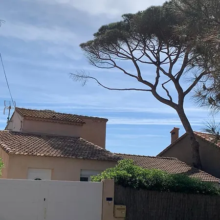 Un Petit Coin De Paradis A La Capte Nyaraló *