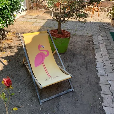 度假居 Un Petit Coin De Paradis A La Capte