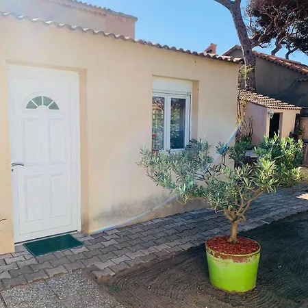 Un Petit Coin De Paradis A La Capte * Hyères