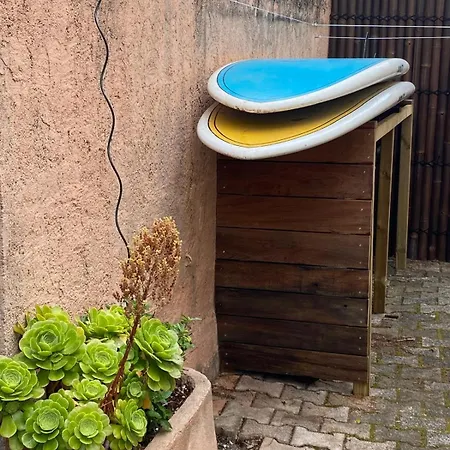 Un Petit Coin De Paradis A La Capte Hyères